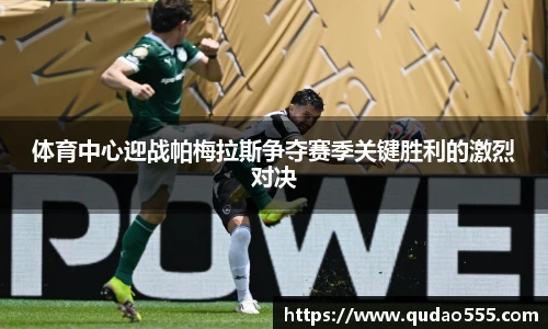 体育中心迎战帕梅拉斯争夺赛季关键胜利的激烈对决